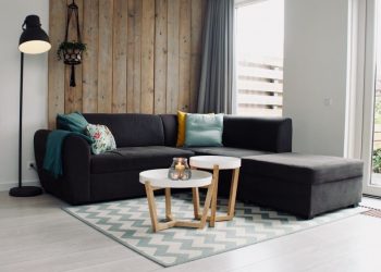 Cat de important este sa utilizezi o husa pentru coltar in casa ta?