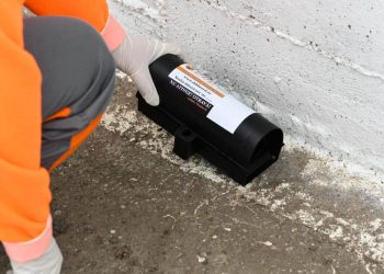 Servicii profesionale de dezinsectie disponibile in Timisoara