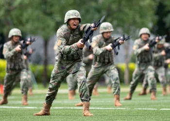 Die Welt: China ar putea să se alăture misiunii de menținere a păcii în Ucraina