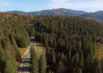 Restricţii de trafic pe Valea Oltului