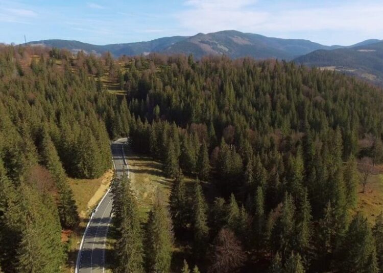 Restricţii de trafic pe Valea Oltului