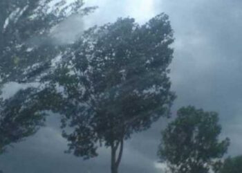 Meteorologii au prelungit avertizarea de vreme deosebit de rece, brumă şi îngheţ