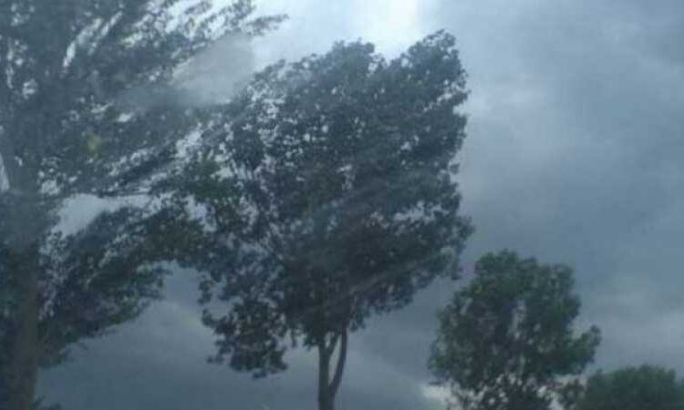 Meteorologii au prelungit avertizarea de vreme deosebit de rece, brumă şi îngheţ