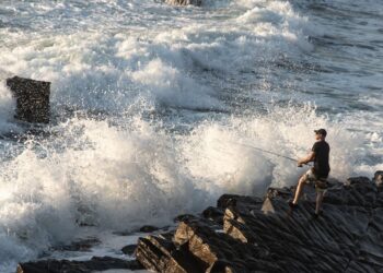 Mulineta feeder Shimano vs. alte branduri populare