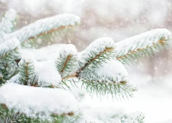 Vine iarnă grea, s-a anunţat când ninge şi la Bucureşti. Climatologii au descoperit anomalii ale vortexului polar