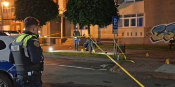 Detalii tulburătoare în cazul crimei din Neamț: Vlad a venit cu cuțitul de la București ca să își omoare tatăl