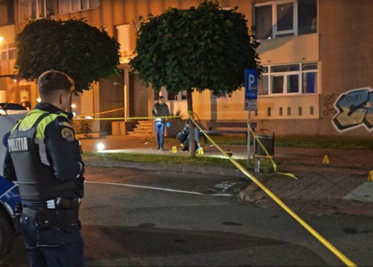 Detalii tulburătoare în cazul crimei din Neamț: Vlad a venit cu cuțitul de la București ca să își omoare tatăl
