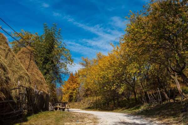 Țara Făgărașului într-o escapadă de câteva zile: sate, peisaje și opriri fără grabă