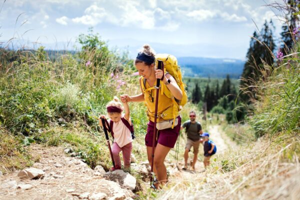O vacanță în zona Vatra Dornei: idei pentru familii care vor munte și relaxare
